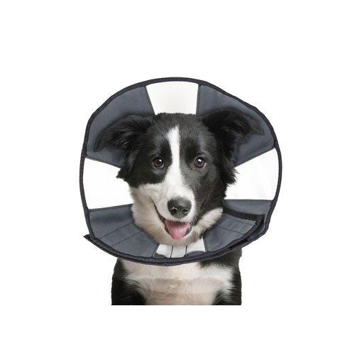 ZenPet Zen Collar