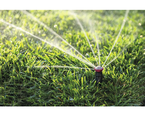 Professionele pop-up sproeier RainBird R-Van24 (werpbereik 5,2-7,3 m)