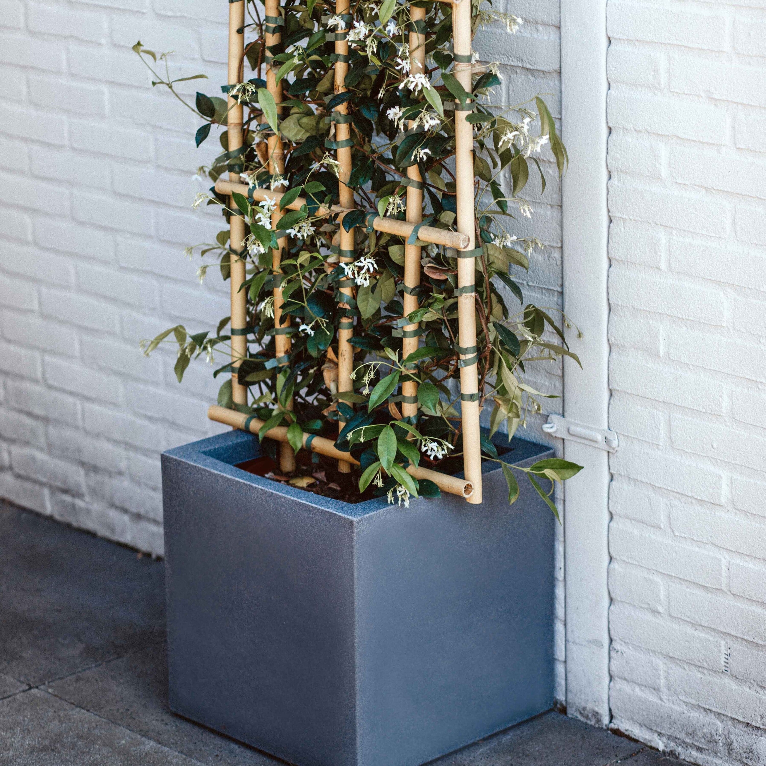 Capi Europe Smooth Bloempot 50 x 50 cm