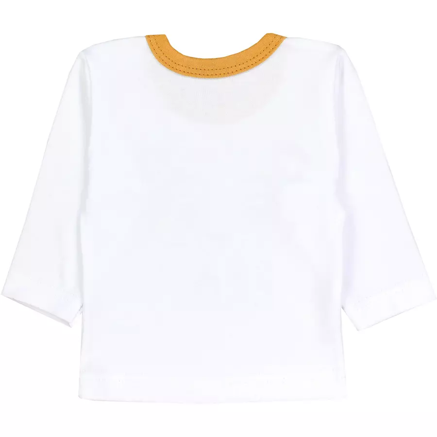 TupTam Baby Jungen Langarmshirt 5er Pack blau Modell 1