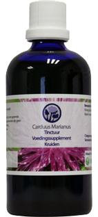 B Nagel B. Nagel Carduur Marianus Tinctuur 100ML