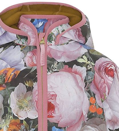 Molo Softshelljacke - Hillary - Life