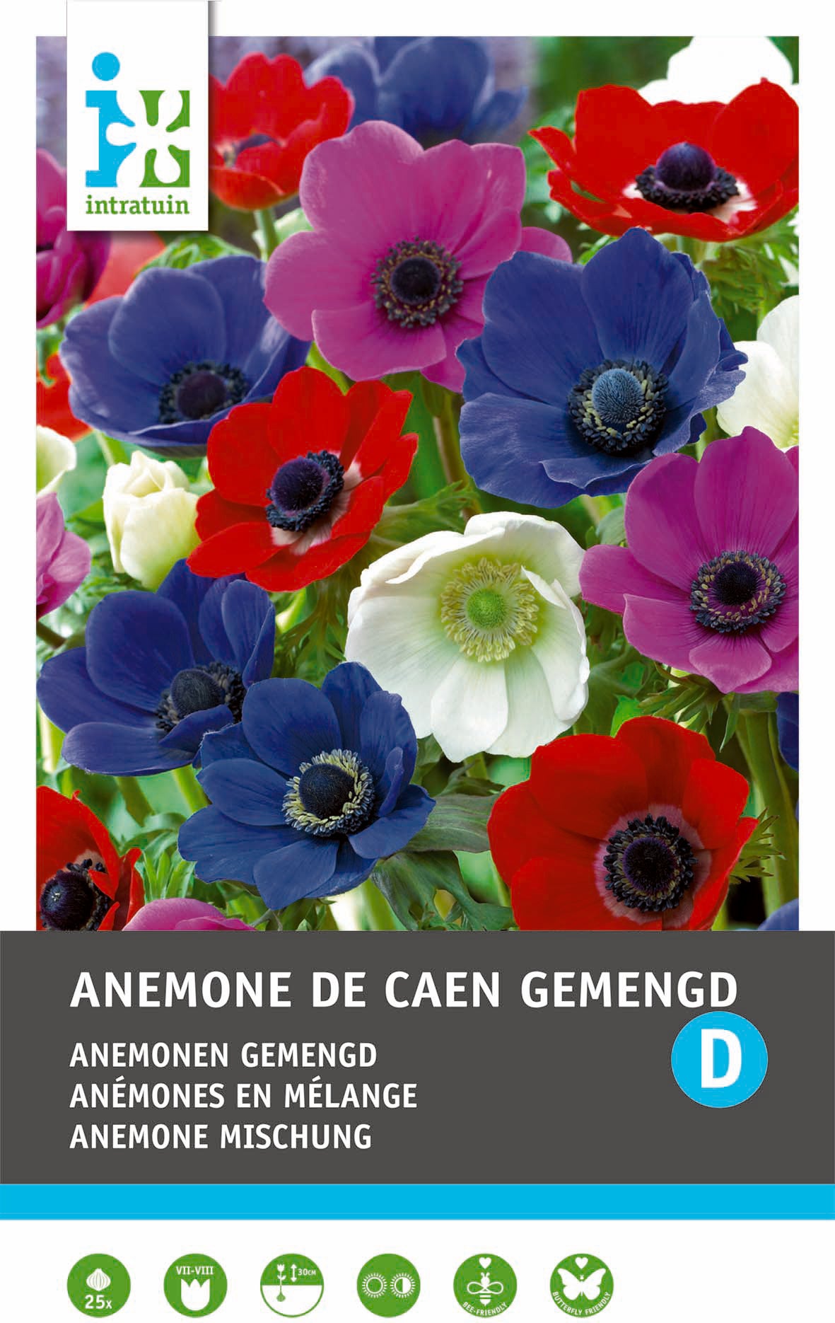 Intratuin bloemknol Anemoon (Anemone 'De Caen') gemengd 25 stuks