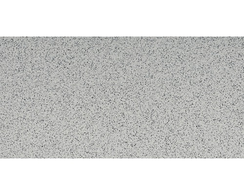 Porseleinen steengoed wand- en vloertegel 30 x 60 cm fijne korrel geïmpregneerd lichtgrijs R10B