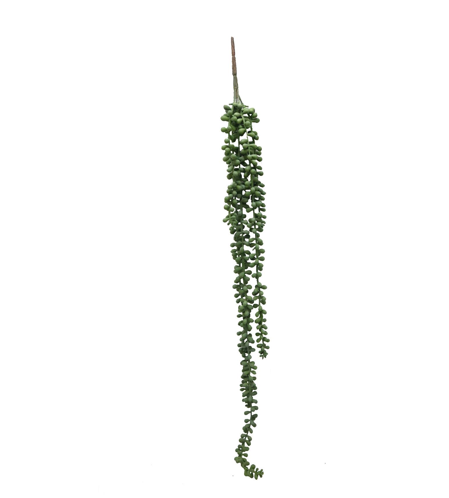 CHUTE RETOMBANTE SENECON H.78CM