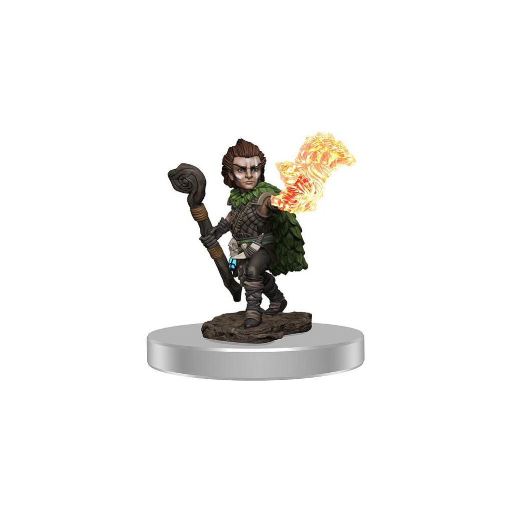Pathfinder Battles Premium Painted Figure - Male Gnome Druid