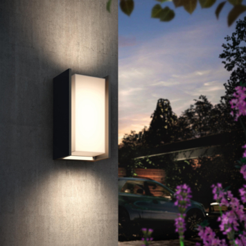 Philips Hue outdoor wandlamp Turaco antraciet
