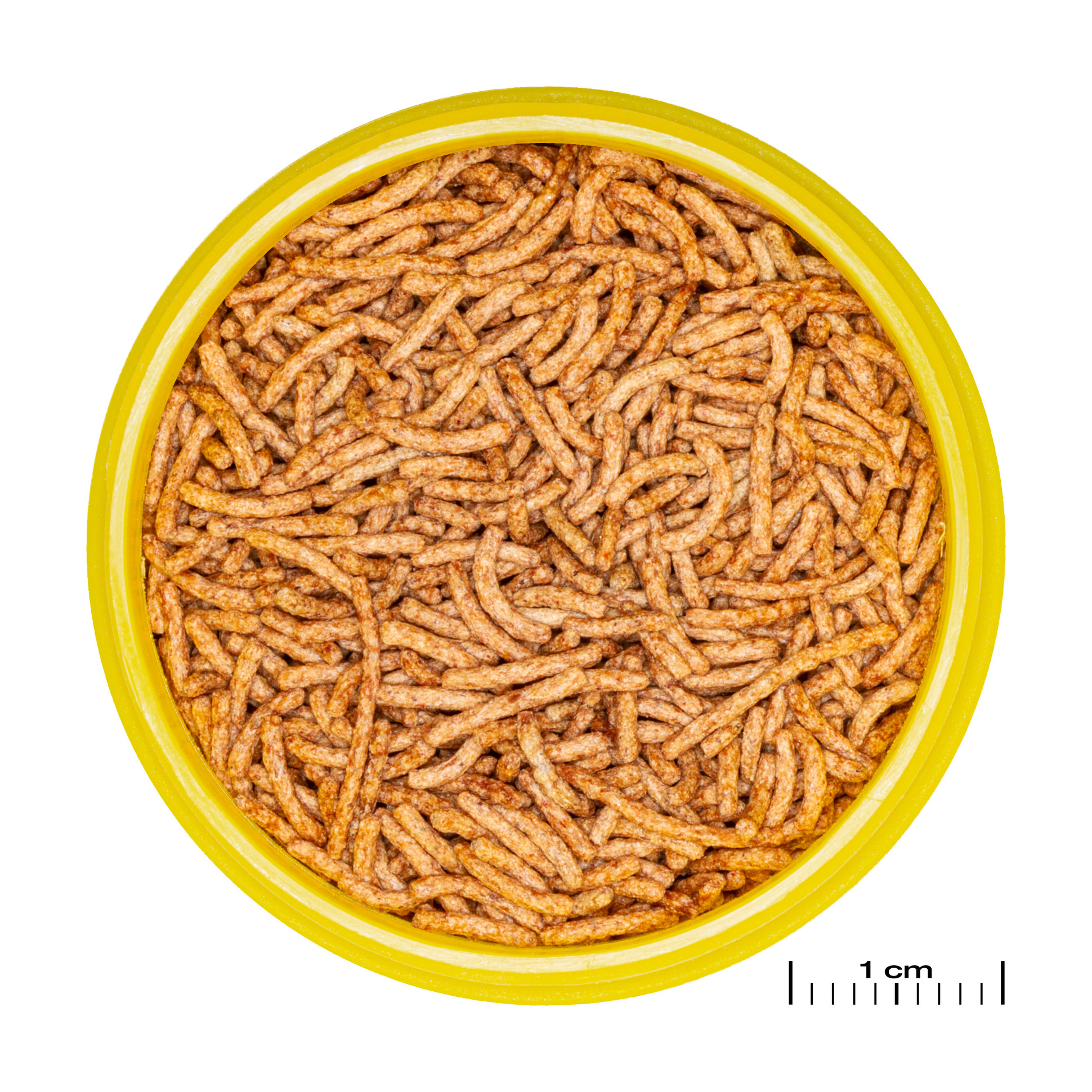 JBL Pronovo Red Insect Stick S 100ml | Drijvende sticks