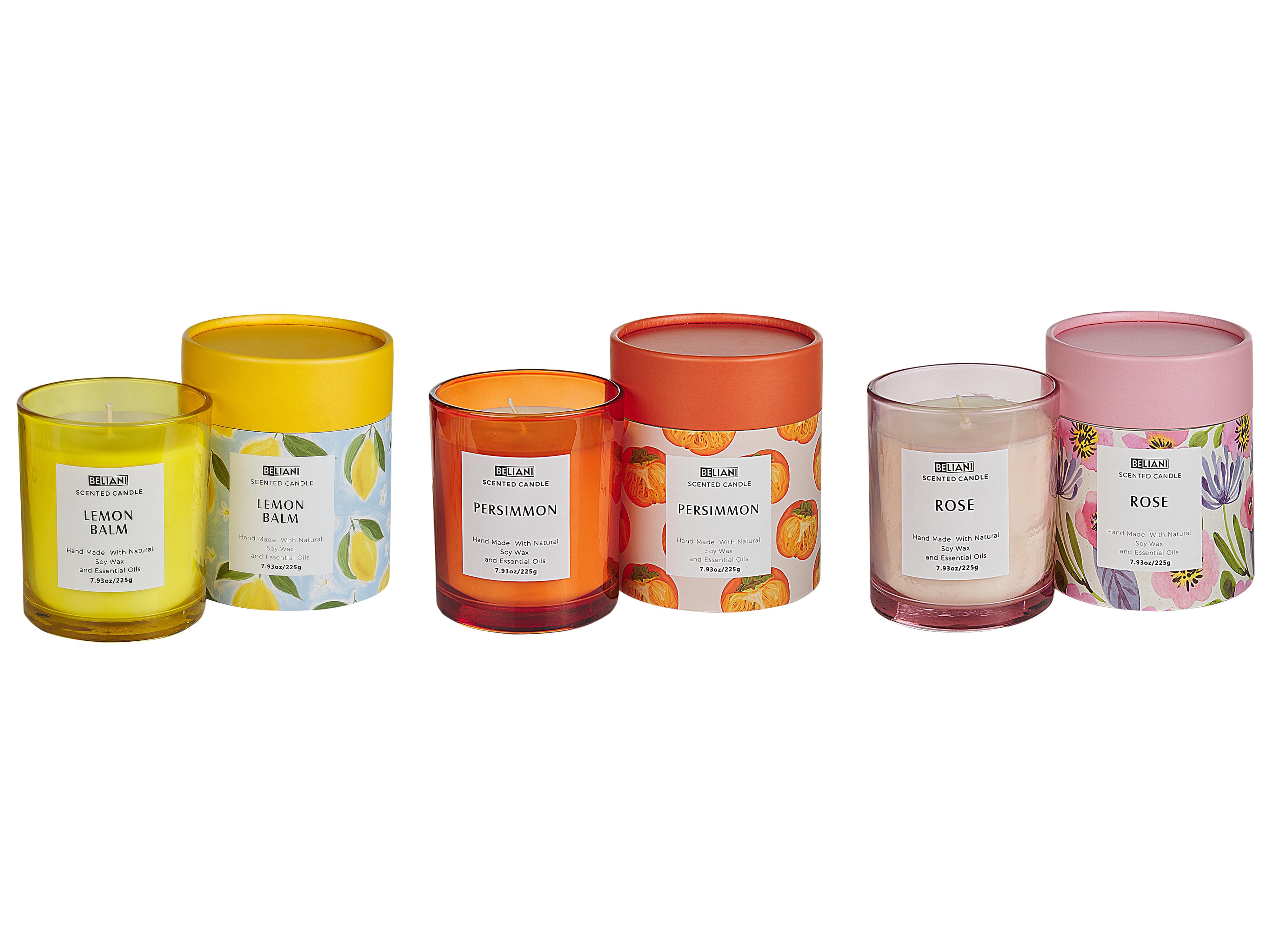 Set van 3 geurkaarsen COLORFUL BARREL Soja wax Orientaalse geurnoten Kruidige geurnoten Bloemige geurnoten