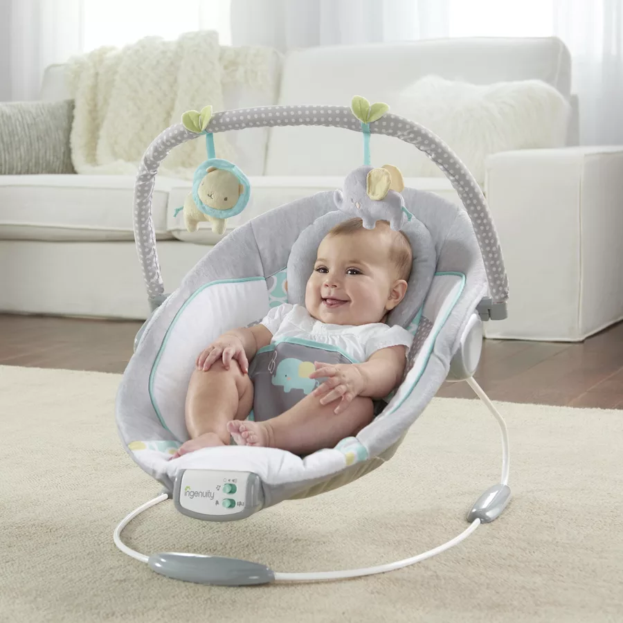 Ingenuity Schaukelstuhl, Soothing Bouncer™ - Morrison