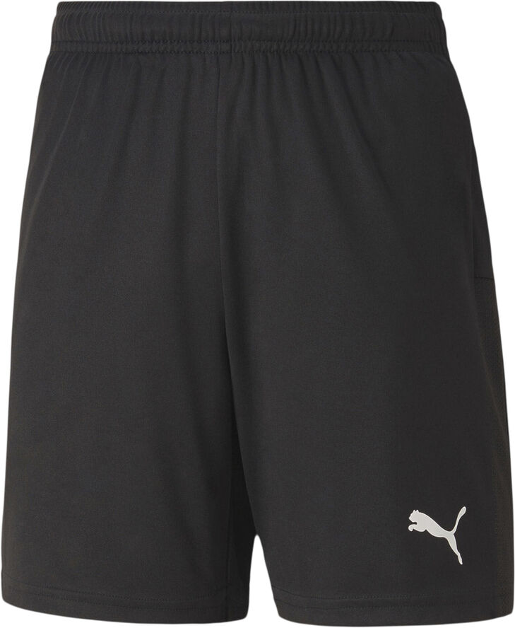 Puma Teamgoal 23 Knit shorts Sort
