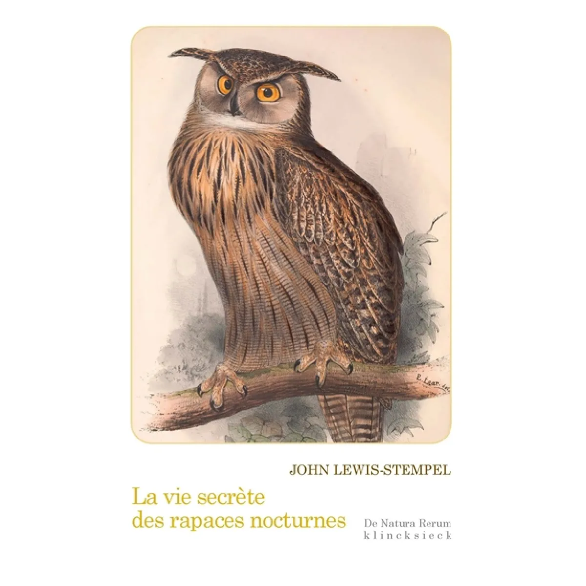 La vie secrète des rapaces nocturnes