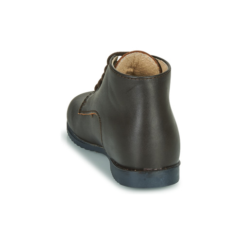 Little Mary - MILOT - Marron