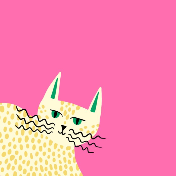 Greetz | Zomaar kaart | kat | illustratie