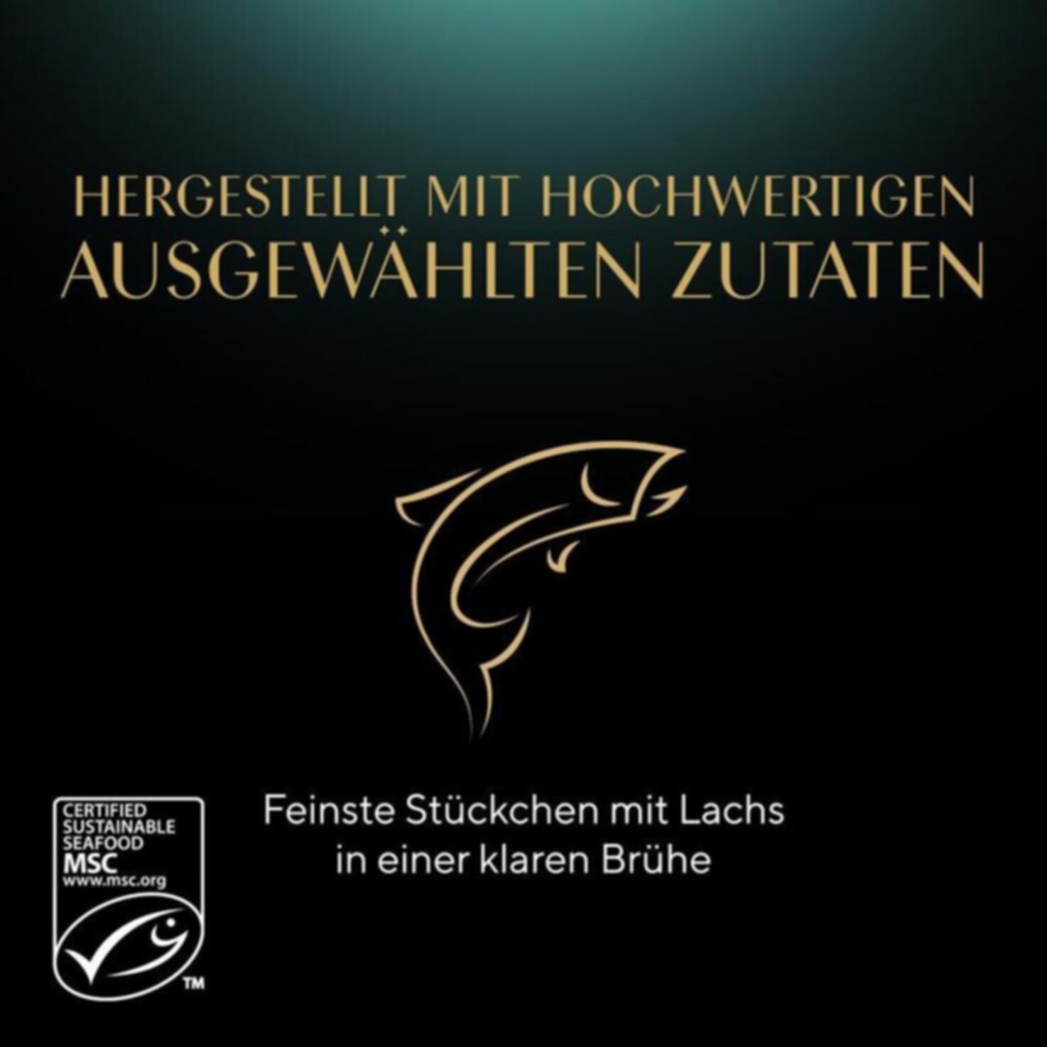 Sheba Soup Lachs Beutel 4x40g