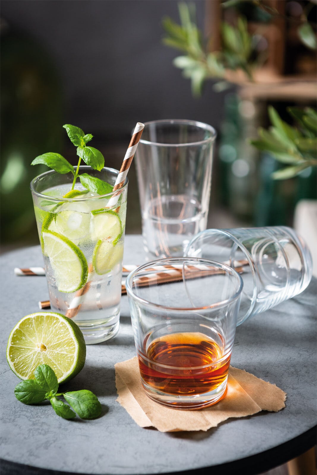 LEONARDO Whiskyglas EVENT 6er Set - je 280 ml