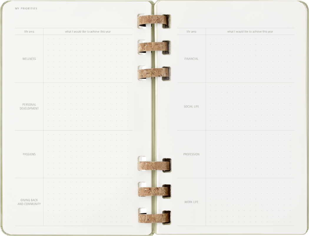 Life Planner 2025 L 12-Month, Spiral