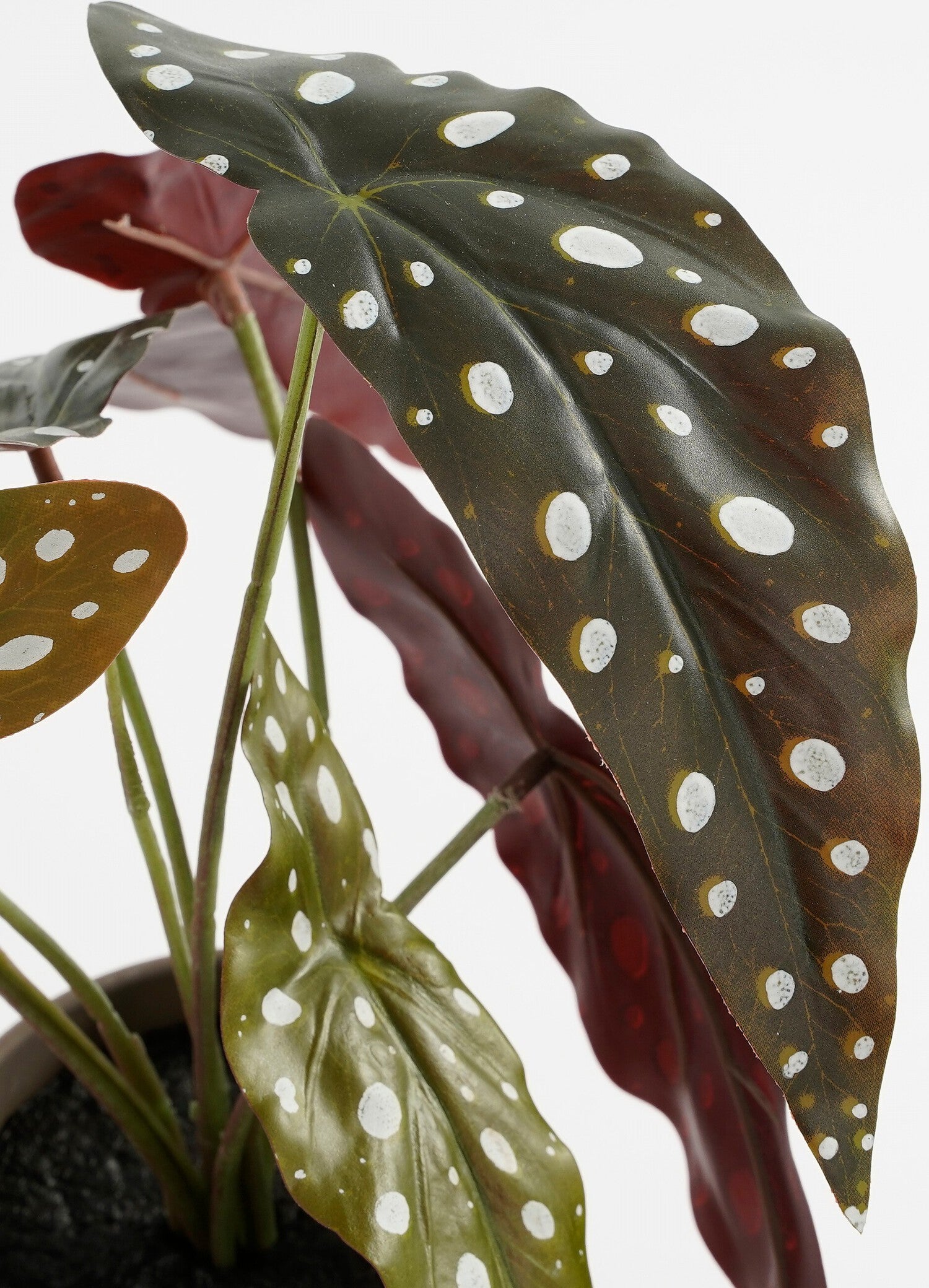 Mica Decorations kunstplant Stippenbegonia groen H 28 D 21 cm