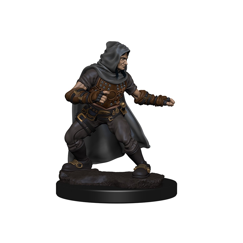 Pathfinder Deepcuts Unpainted Miniatures: Human Male Rogue
