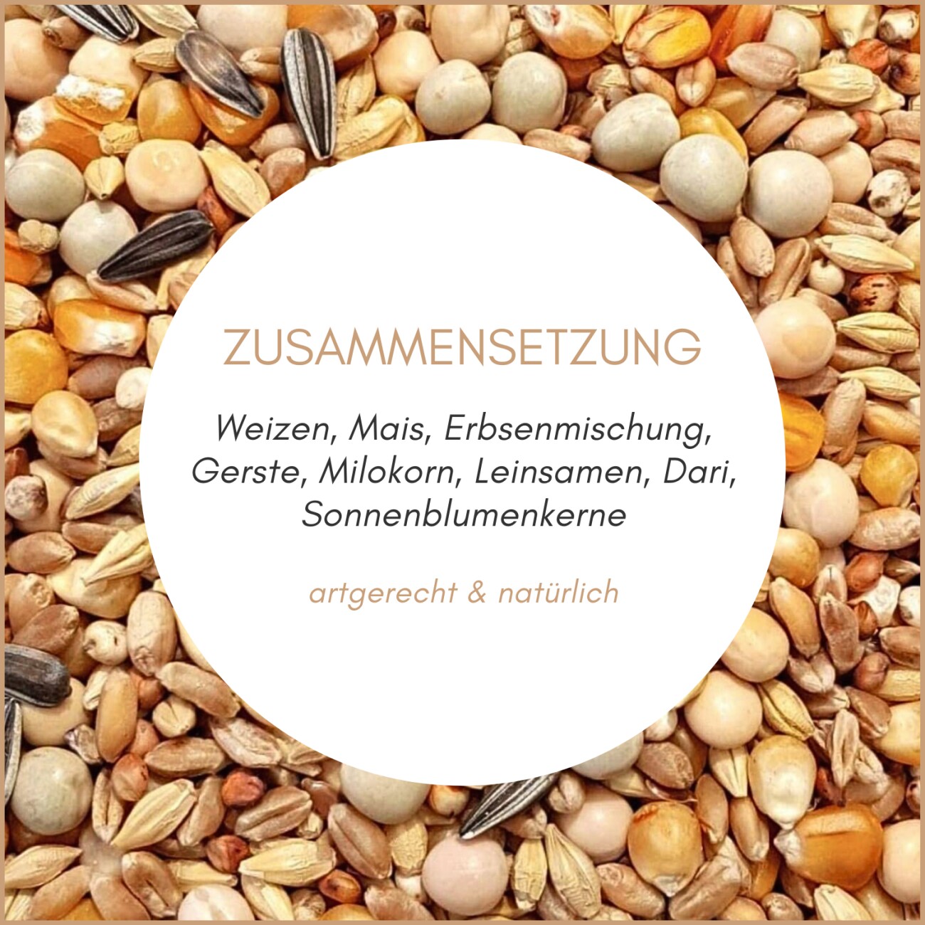 Supravit Taubenfutter BASIS | nahrhaftes Allroundfutter für Tauben | Klassische Futter Körnermischung für das ganze Jahr 5 kg