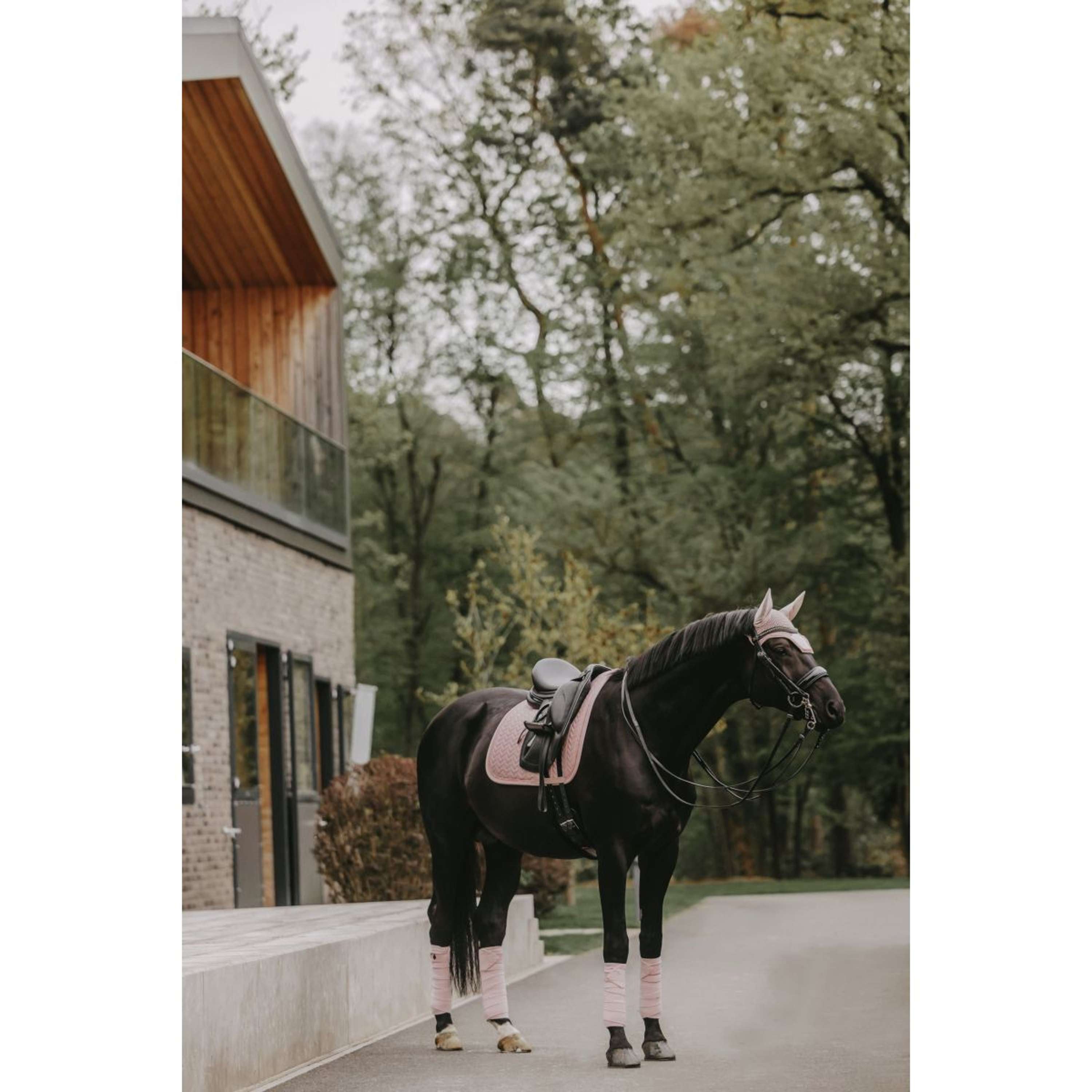 Kentucky Zadeldekje Velvet Pearls Dressuur Soft Rose