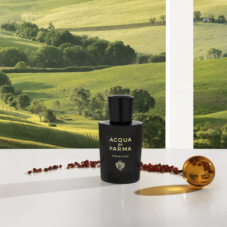 Acqua di Parma SIG. OUD & SPICE EDP 100 ml.