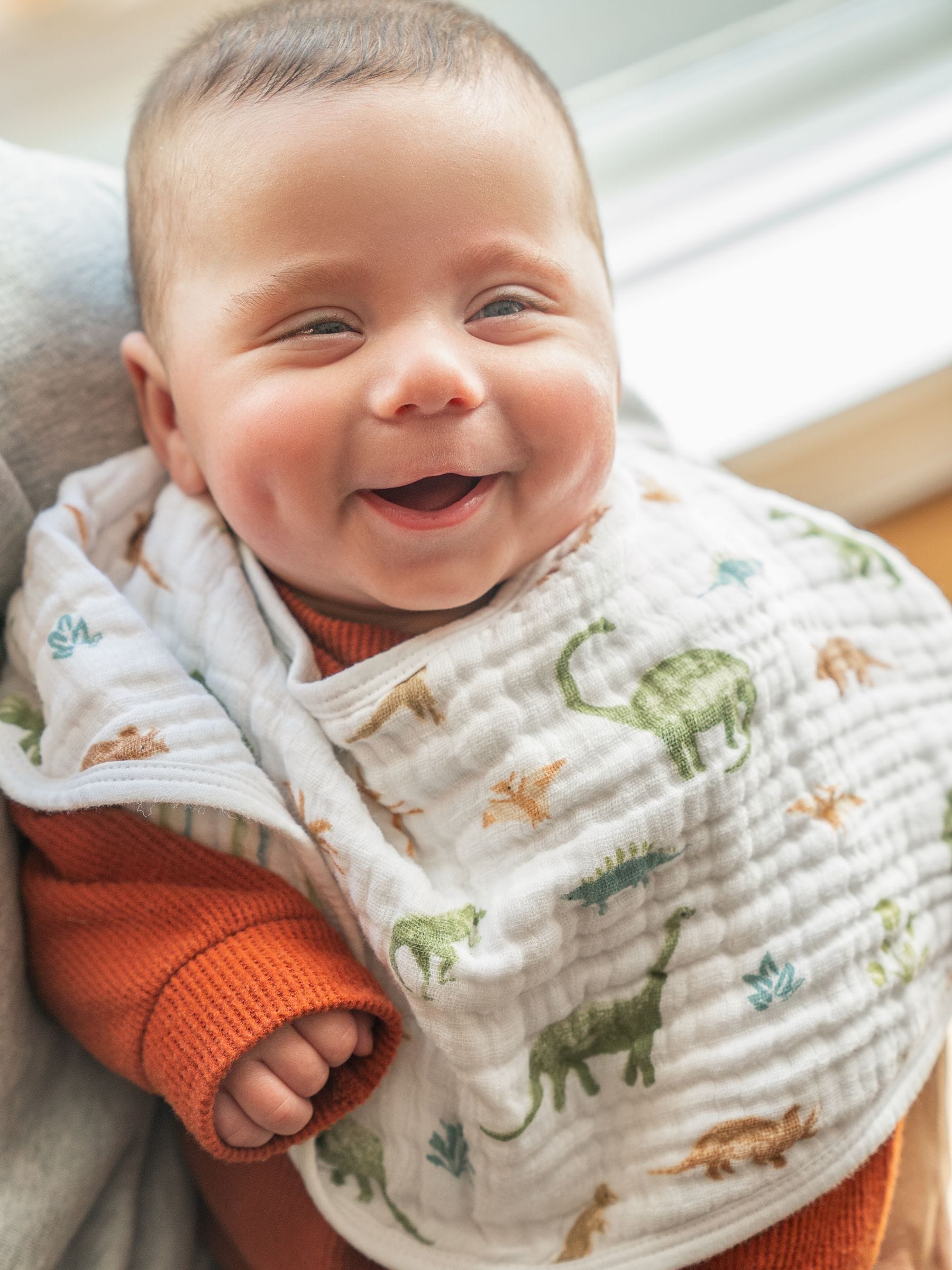 aden + anais Essentials 100% katoenen Baby Burpy Bib Dino Jungle mousseline