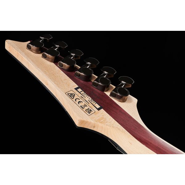 Ibanez JIVA 10-DSB