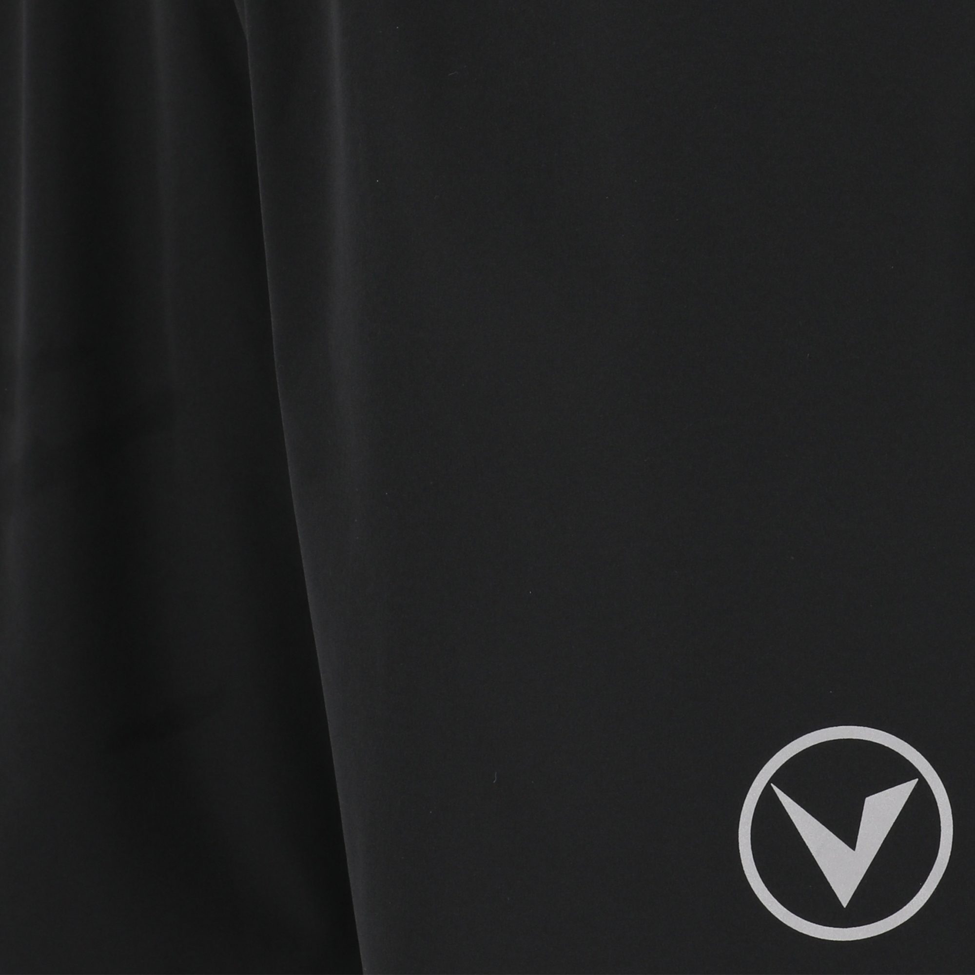 Virtus Spier V2 M Shorts Herren schwarz