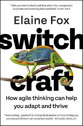 Switchcraft: How Agile Thinking Can Help You Adapt and Thrive (Paperback)