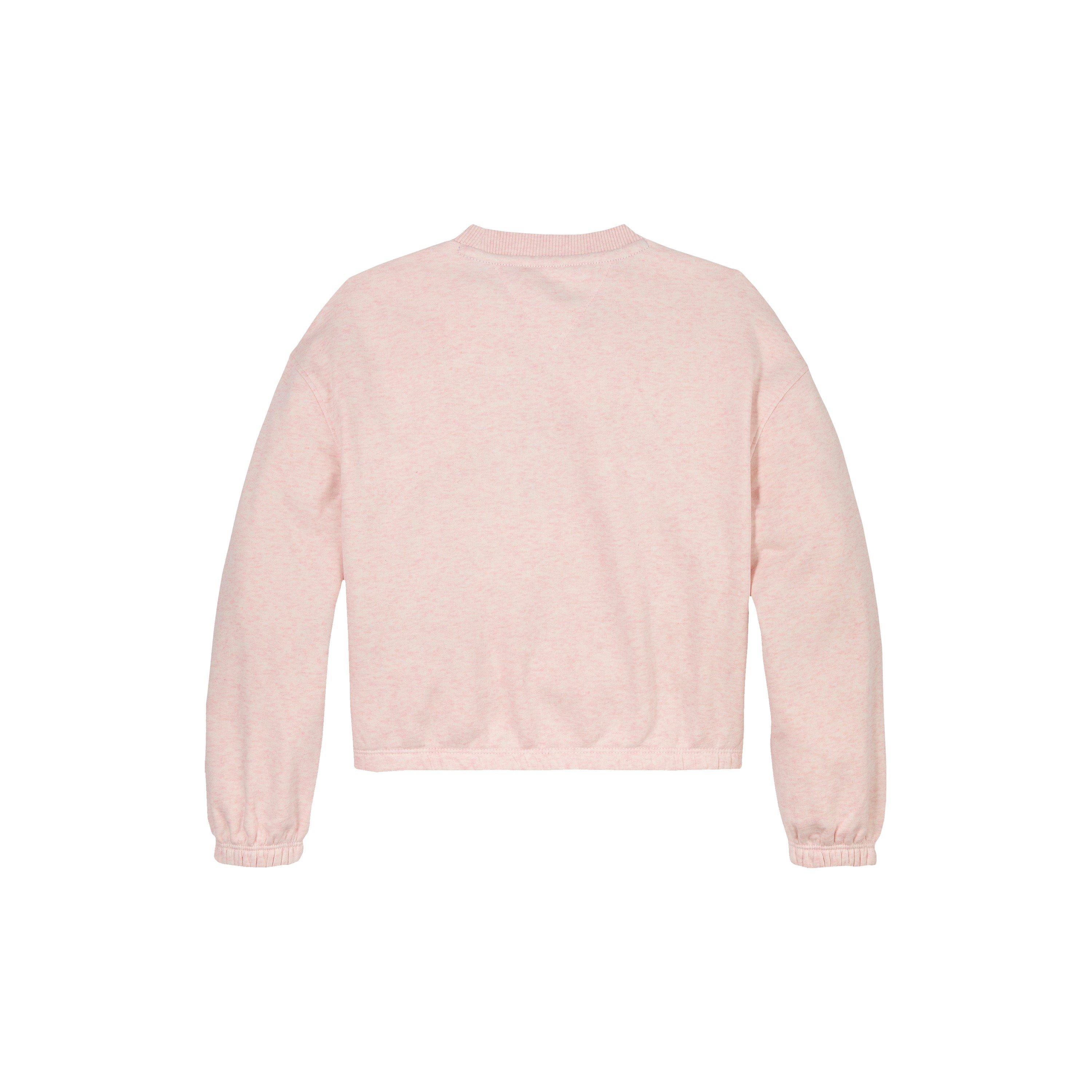 Tommy Hilfiger VARSITY SWEATSHIRT