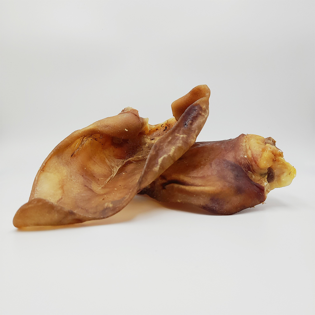 Orelha de porco