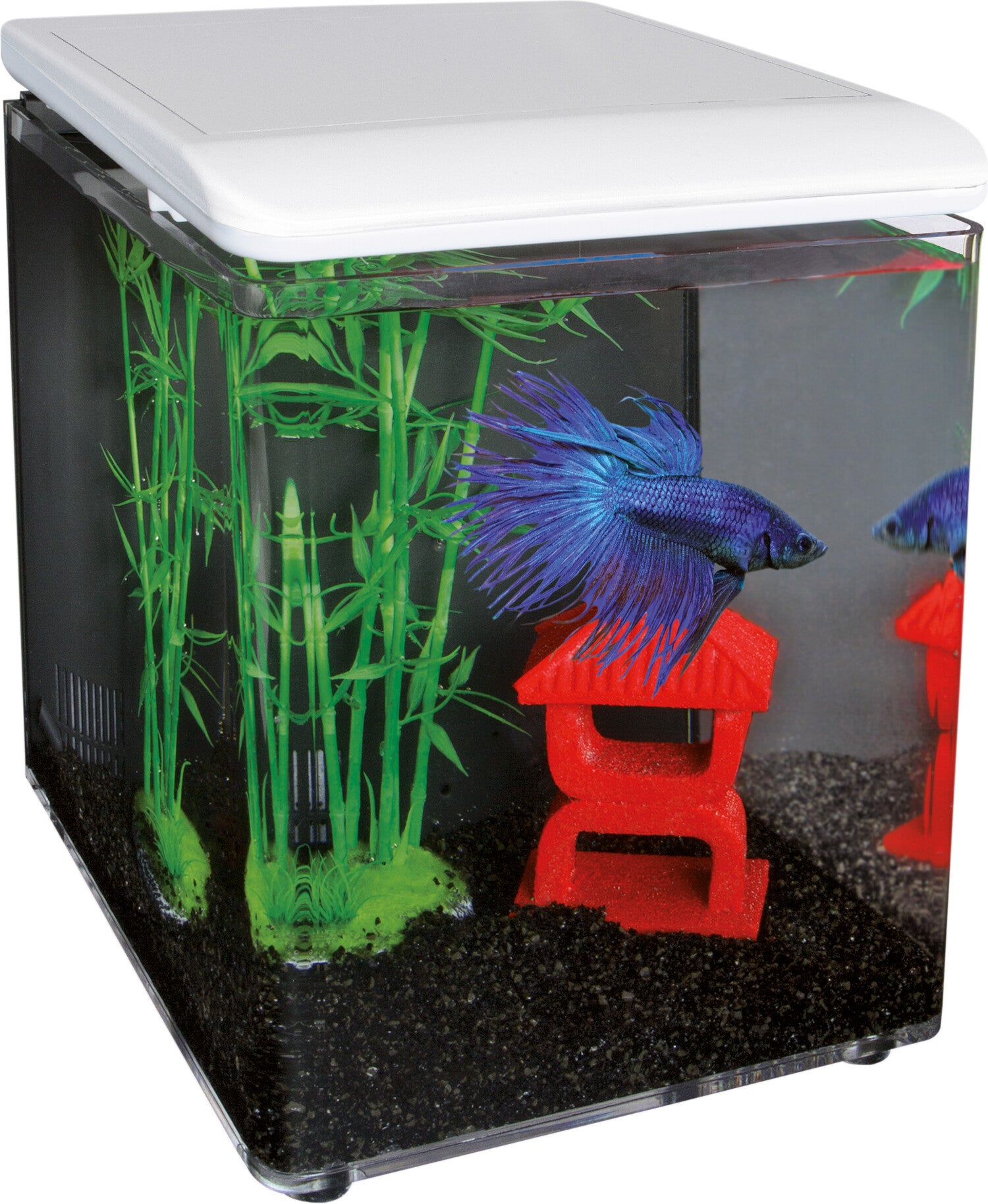 SuperFish aquarium Home 8 wit 8 L