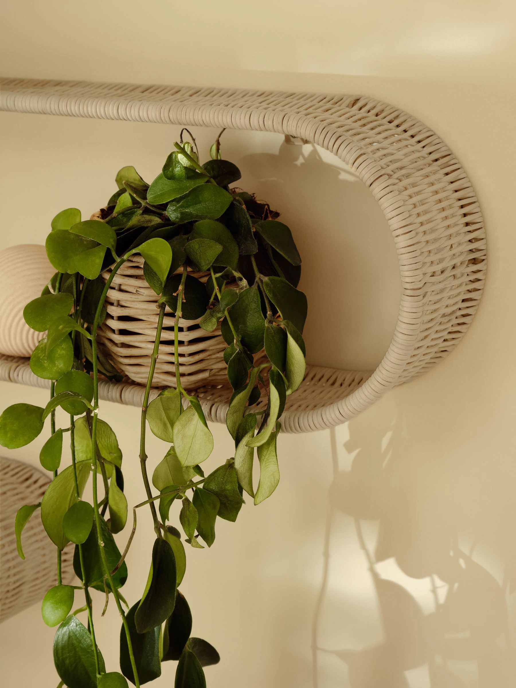 Woven Set of 3 Wall Shelves