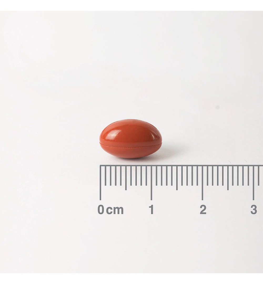 Lamberts Gember (60 vega capsules)