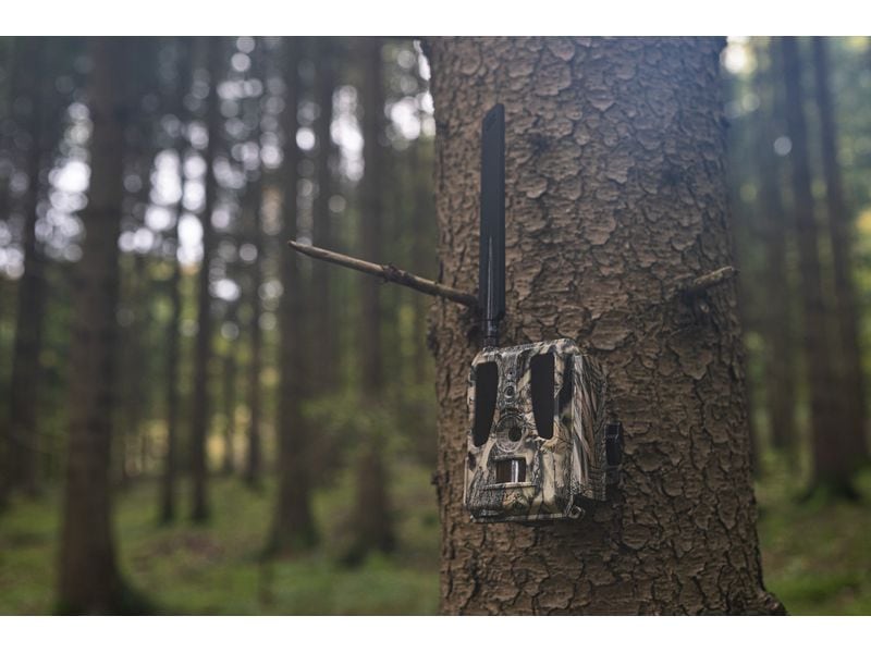 Dörr Kamera Wildkamera SnapShot Cloud Pro 4G WA Weitwinkel Überwachungskamera für hochauflösende Wildtierbeobachtung und Sicherheitsüberwachung