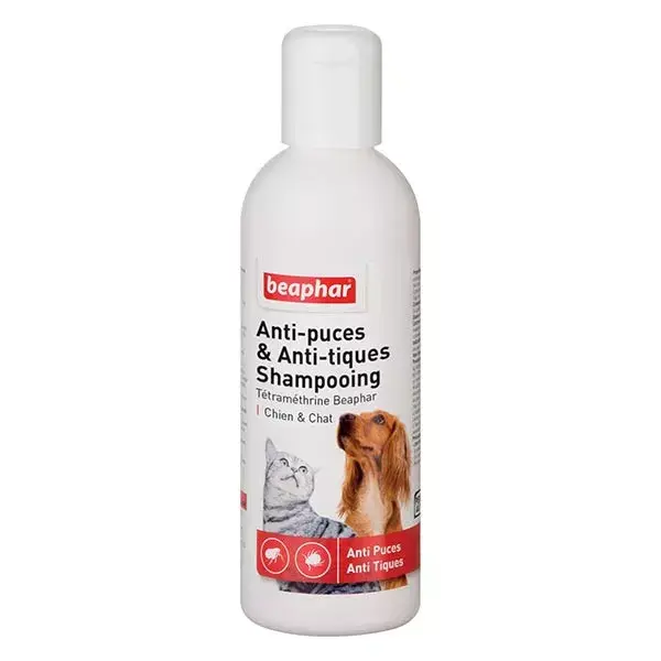 Shampoo antipulgas e carrapatos Beaphar para cães e gatos 200ml