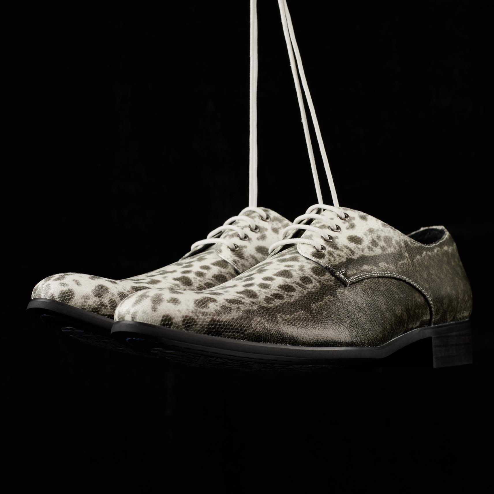 Snow Leopard