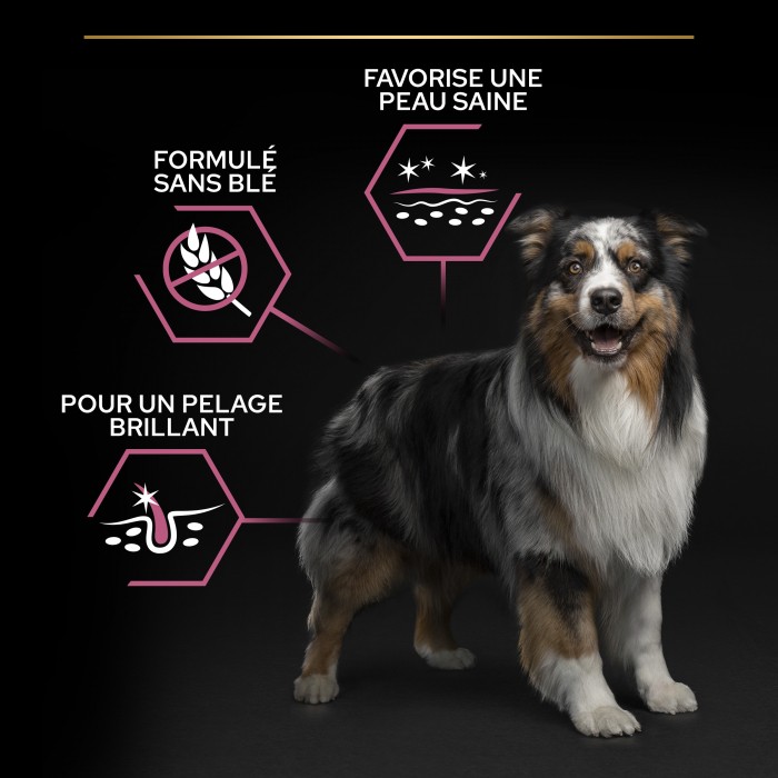 PRO PLAN Sensitive Skin Medium & Large Adult au Saumon - Croquettes pour chien