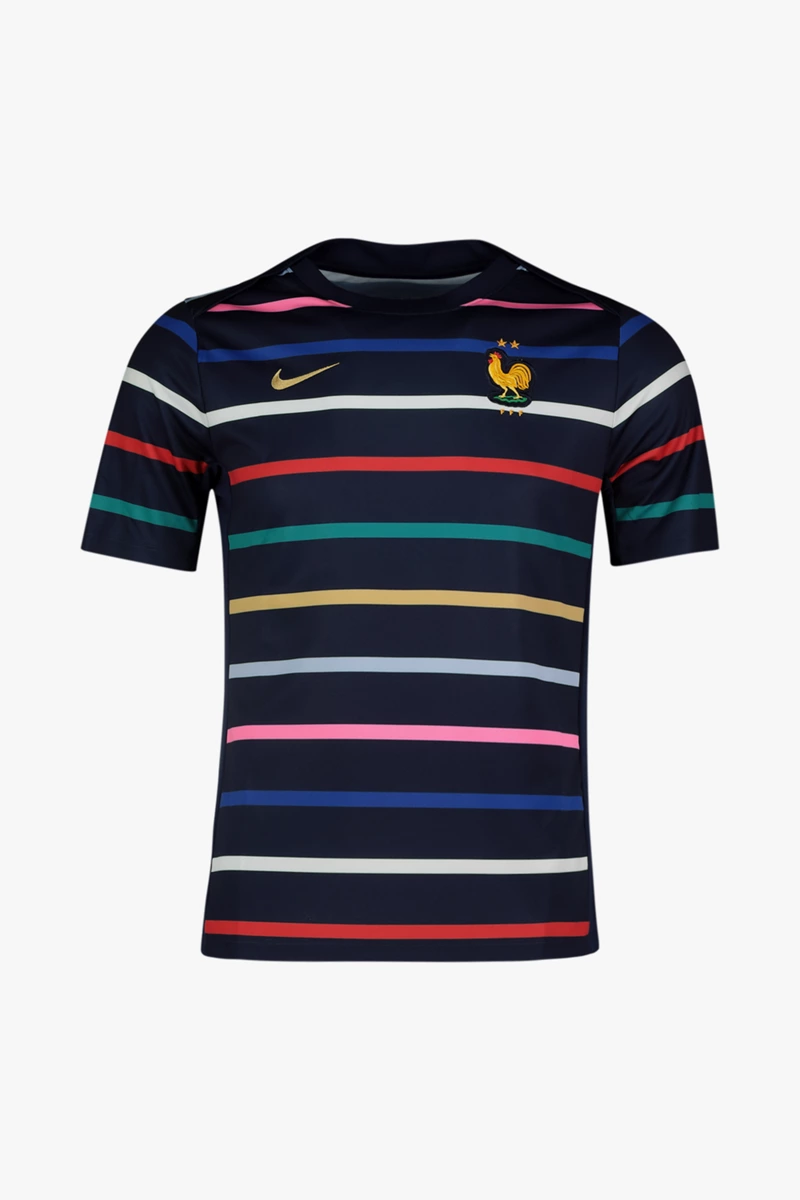 Nike Frankreich Home Academy Pro Herren T-Shirt