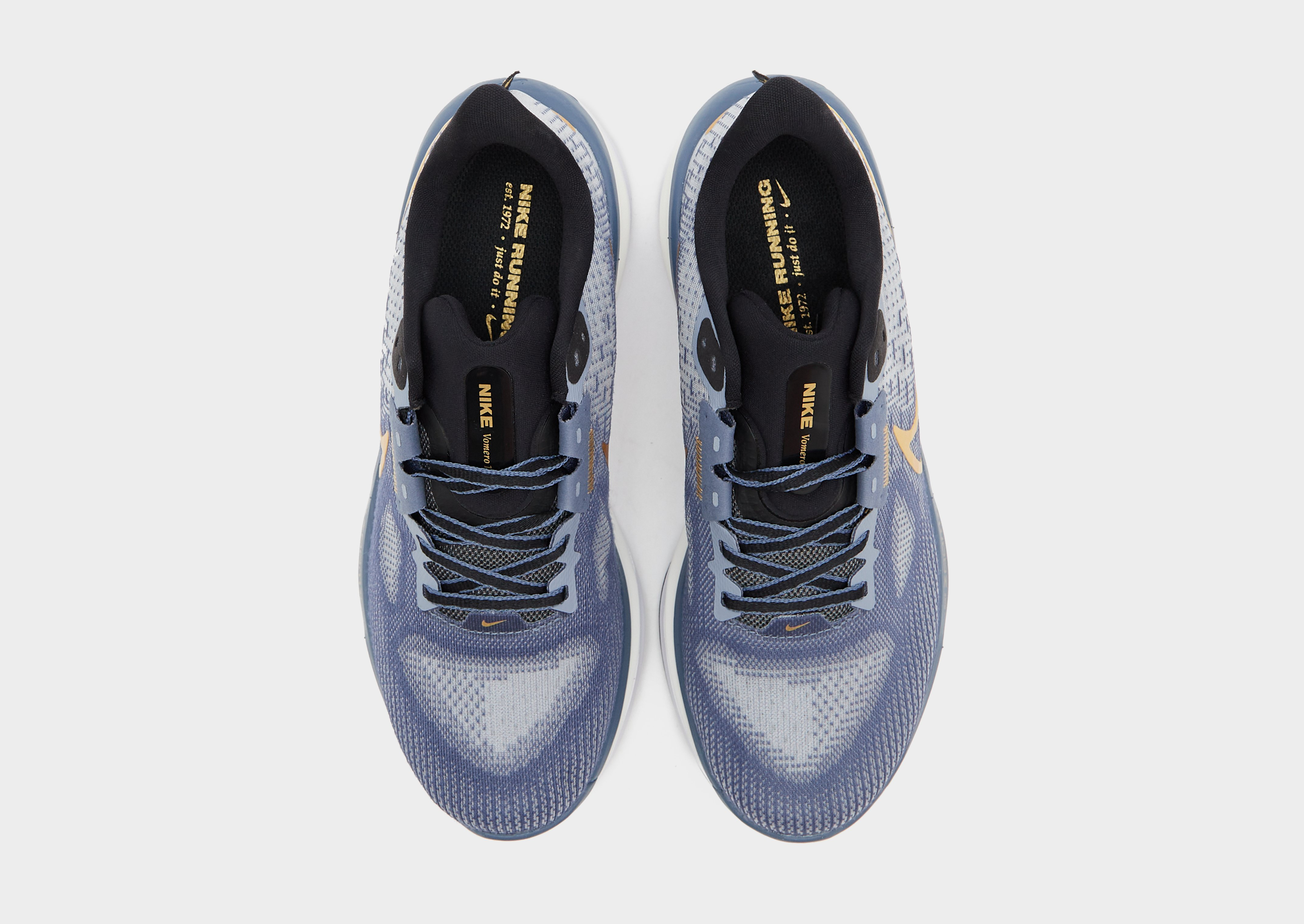 Nike Vomero 17 Femme