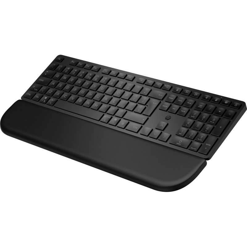 HP Multi-DevDual-ModeKBDwPlm FR clavier Noir