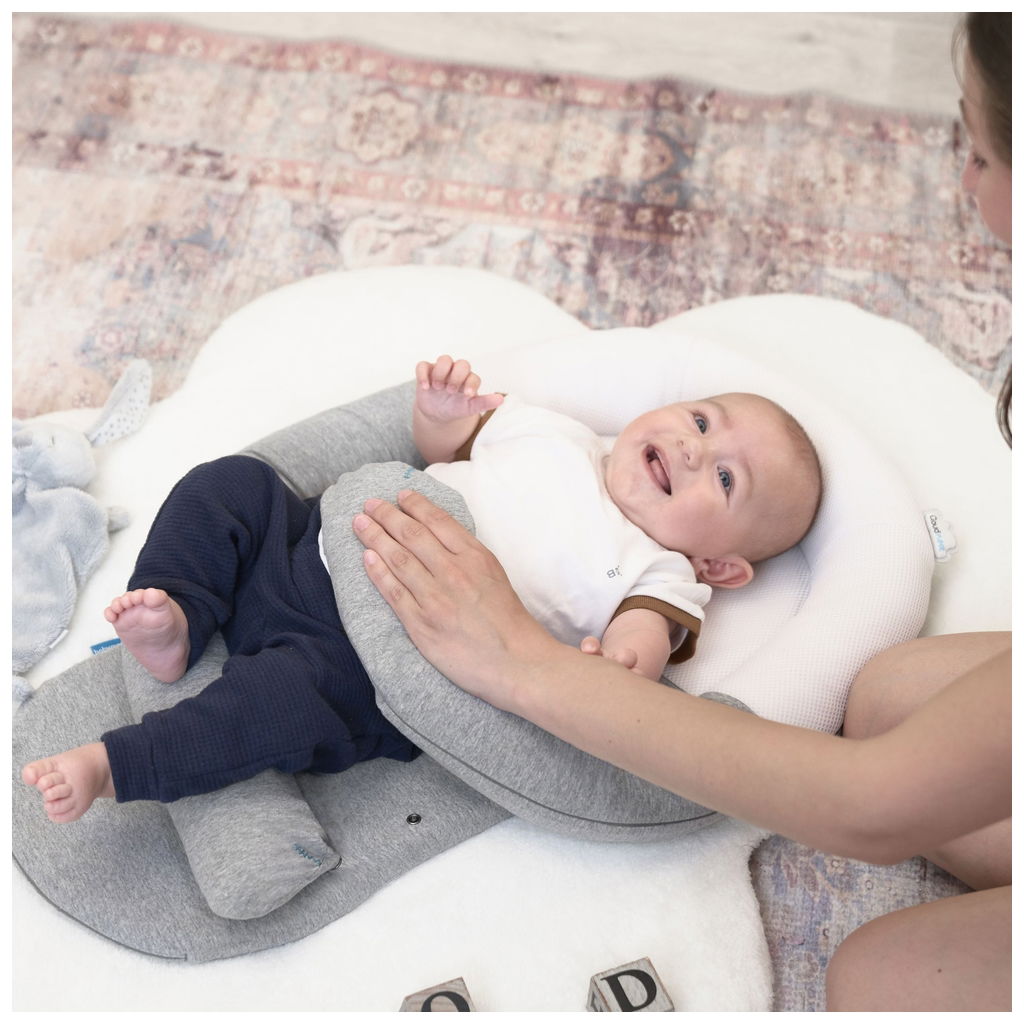 BabymoovBabymoov   Babynest CloudNest