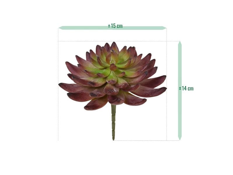 Botanic-Haus Kunstpflanze Echeveria Kaktus 14 cm Kunstblume mit natürlichem Aussehen