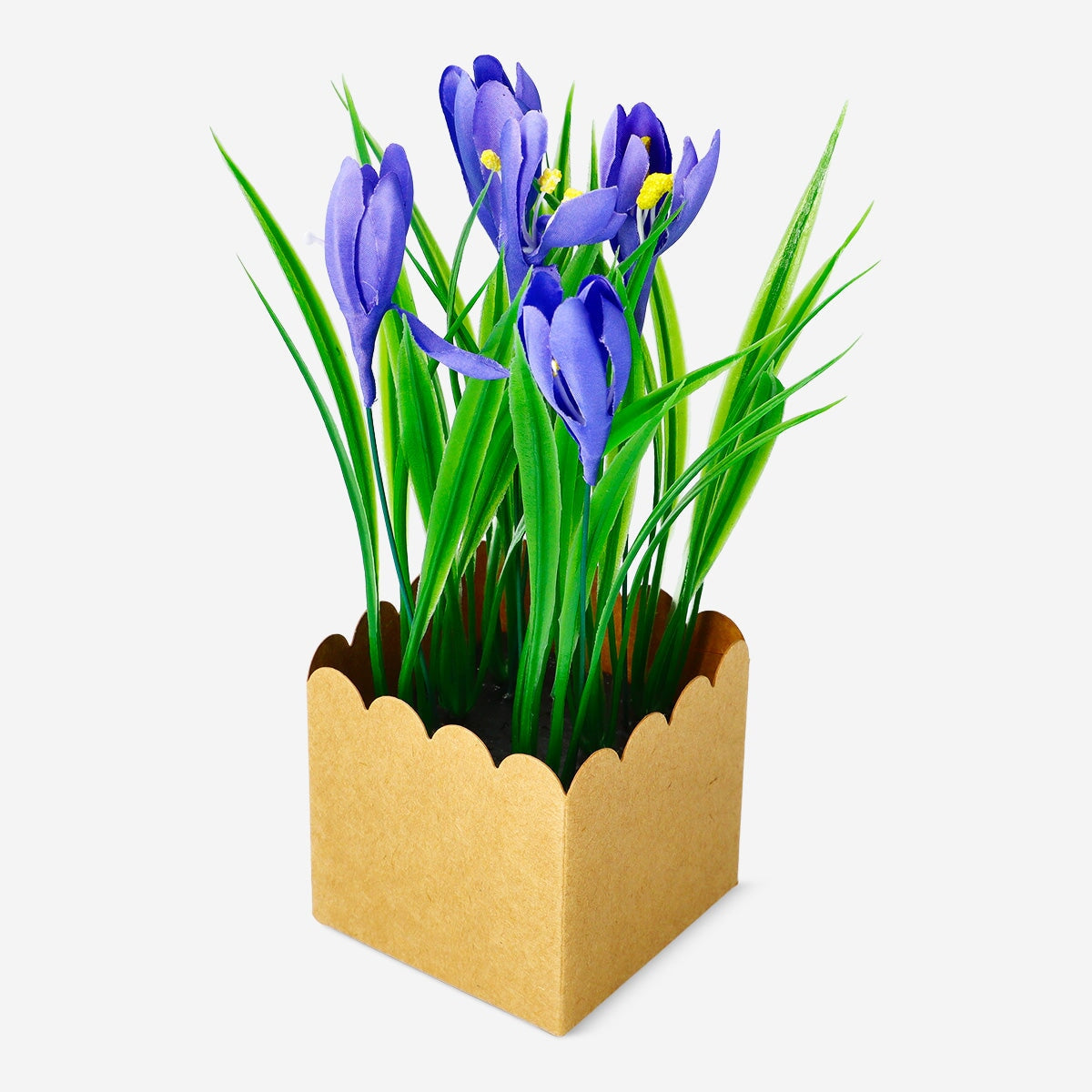 Dekorativ blomst