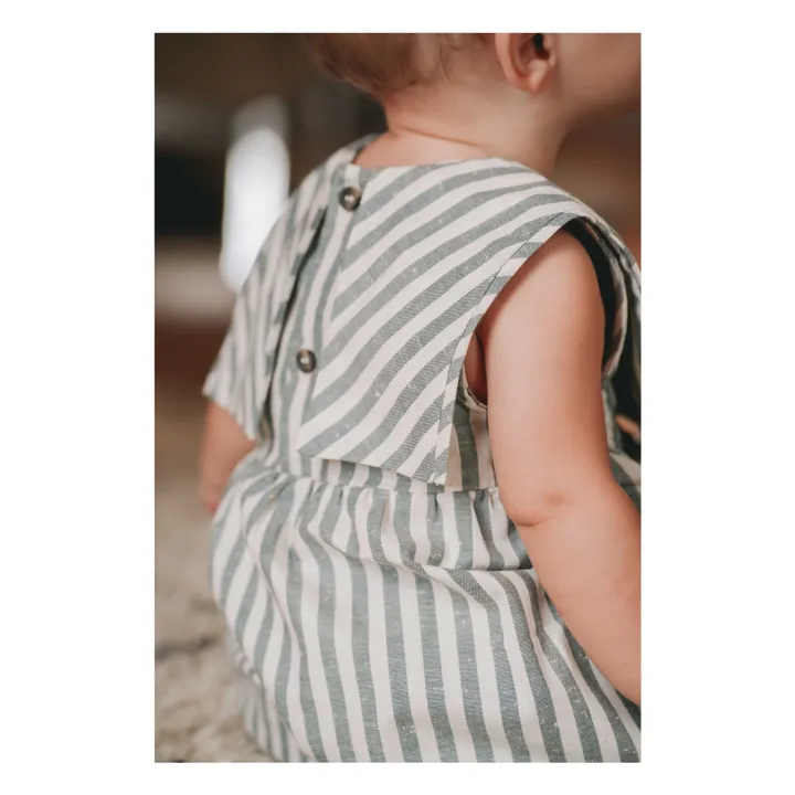 Loir Robe Colombe Rayée | Vert