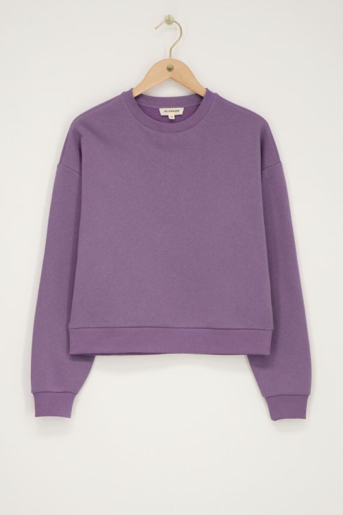 Paarse sweater 
