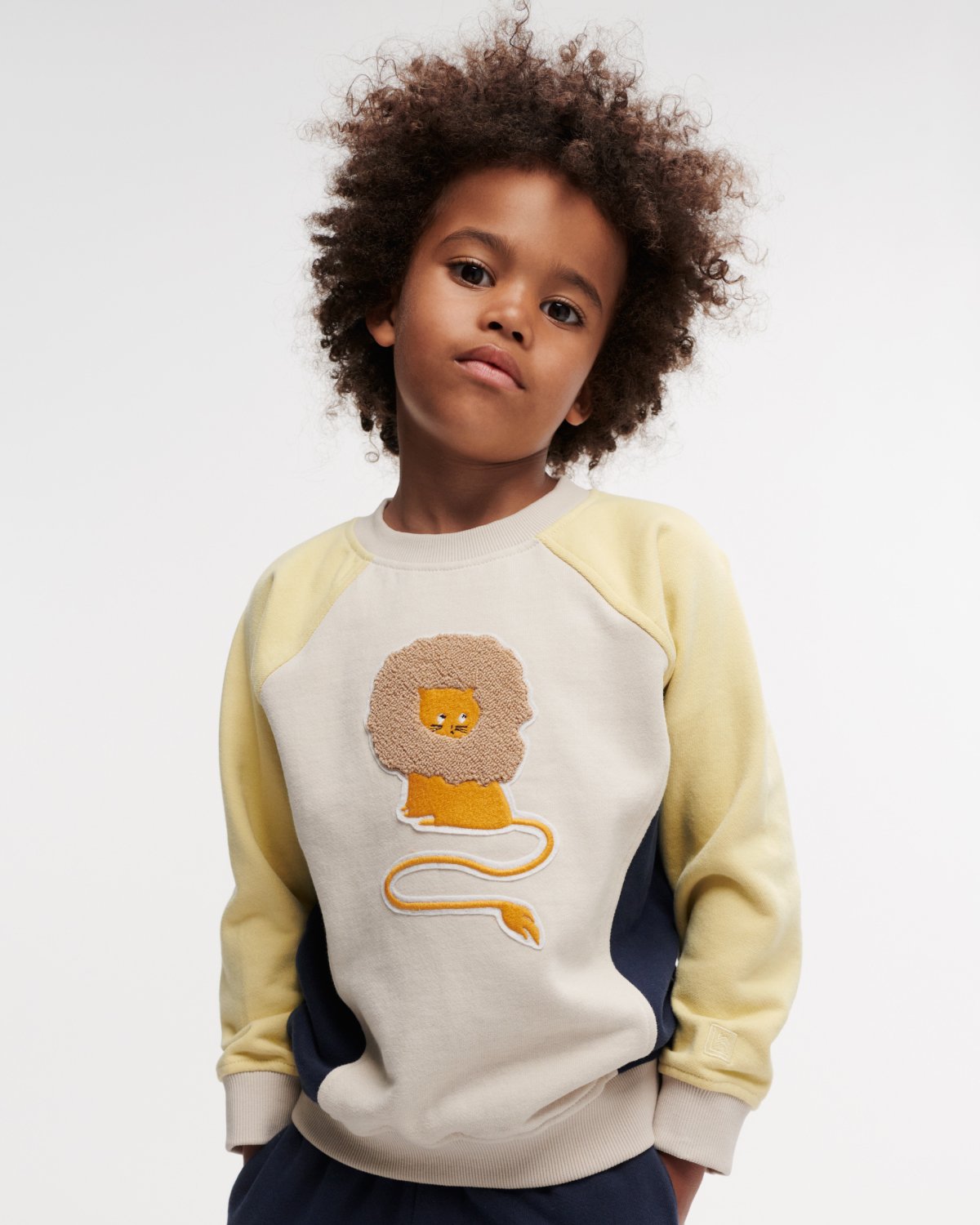 Genser med Print – 100% Øko Bomull | Aude Placement Sweatshirt