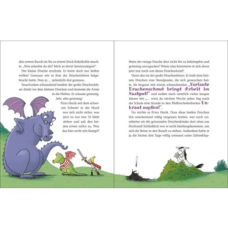 Coppenrath Verlag Der kleine Raubdrache (Bd.1) - Das vorschriftsmäßige Rauben von Prinzessinnen