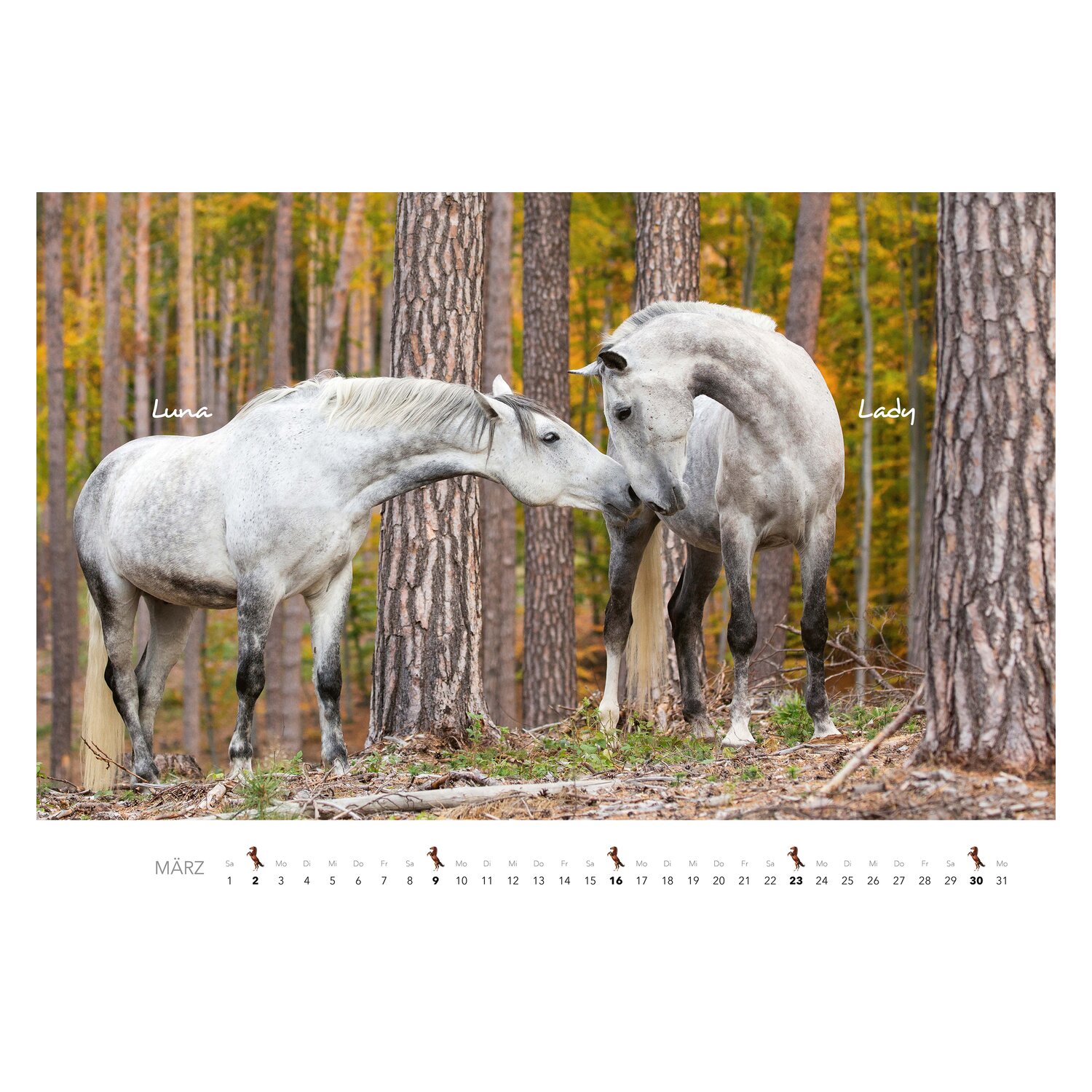 Kalender Pferde  - 2025